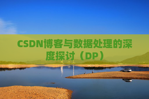 CSDN博客与数据处理的深度探讨（DP）